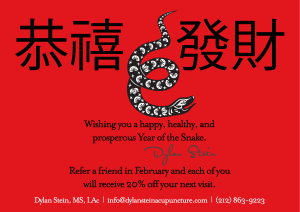 Year of the Snake 2013 Gong Hay Fat Choi Gong Xi Fa Cai